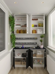 Refrigerator on the loggia design