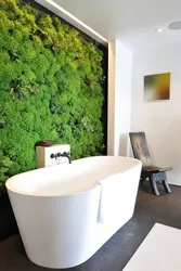 Stabilized Moss In The Bathroom Interior