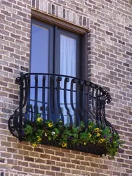 What a French balcony looks like photo in an apartment