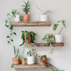 Flower shelf for the kitchen photo