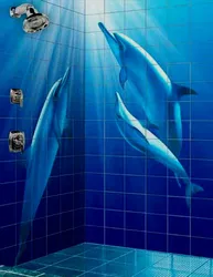 Дельфин ваннасының дизайны