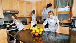 Kitchen Cleaning Photo