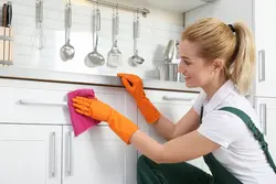 Kitchen Cleaning Photo