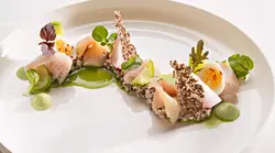 Высокая Кухня Фота
