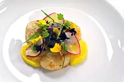 Haute cuisine photo