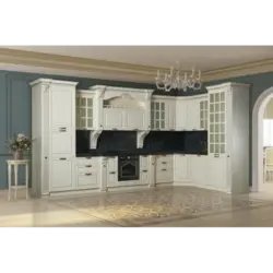 Kitchen camellia photo