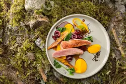 Северная Кухня Фото