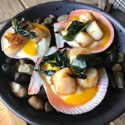 Акси ошхонаи арктикӣ
