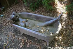 Zanglagan vannaning fotosurati