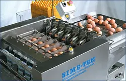 Акс тухми ванна