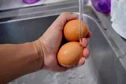 Ваннаға арналған жұмыртқаның фотосы