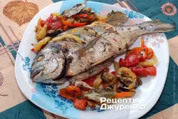 Норвежская кухня фото