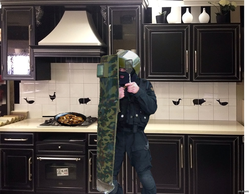 Kitchen meme photo