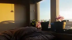 Спальня Утро Фото