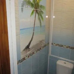 Hamam xurma şəkli