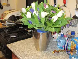 Bouquet in the kitchen photo