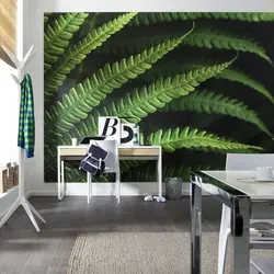 Fern in the kitchen photo
