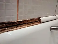 Bathroom pencils photo