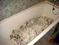 Crayfish in the bathroom photo