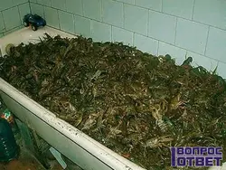 Категория Ванные комнаты