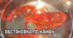 Раки в ванной фото
