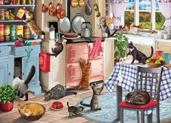 Cat in the kitchen photo