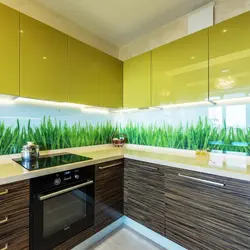 Kitchen with grass photo