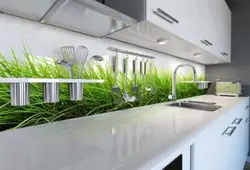 Kitchen with grass photo