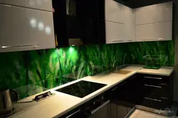 Kitchen with grass photo