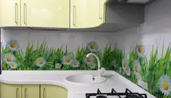 Ромашка суреті бар ас үй