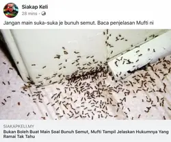Midges in the bathroom photo