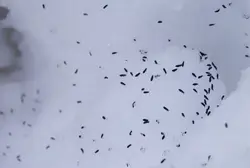 Категория Ванные комнаты