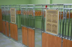 Санаттар 