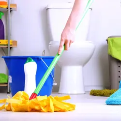 Cleaning the bathroom photo