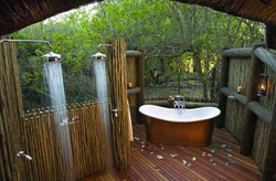Bath in nature photo