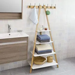 Bathtub With Ladder Photo