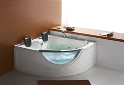 Bathtub with ladder photo