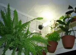 Ванные комнаты