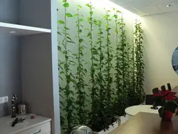 Традэсканцыя на кухні фота