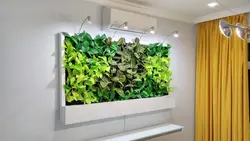 Tradescantia mətbəxdə fotoşəkil