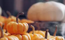 Фото тыква на кухне