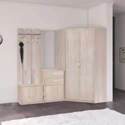 Borovichi mebel dəhlizinin fotoşəkili