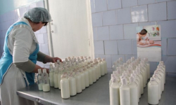Dairy kitchen for children photo