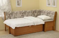 Sofa With Sleeping Place Photo