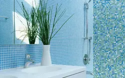 Imitation Tiles In The Bathroom Photo