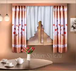 Пардаҳои тайёр барои акси ошхона