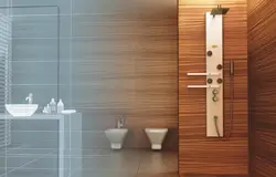 Ванна бөлмесінің фотосуретіндегі душ панелі