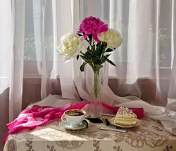 Категориялар 