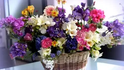 Bouquet of flowers in the kitchen photo