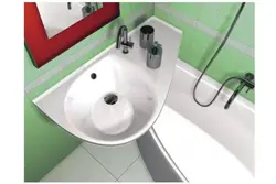 Bathtub with sink photo